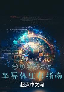 千禧年半导体生存指南封面