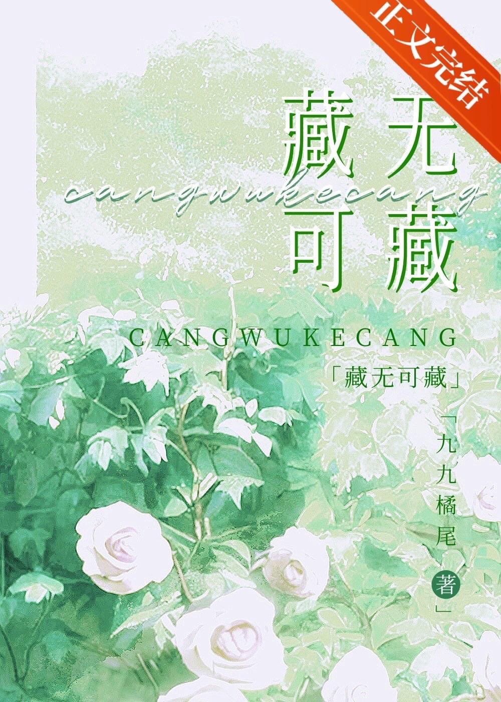 藏无可藏封面