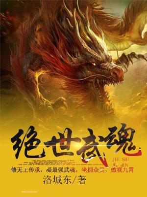 绝世战魂陈枫洛城东封面