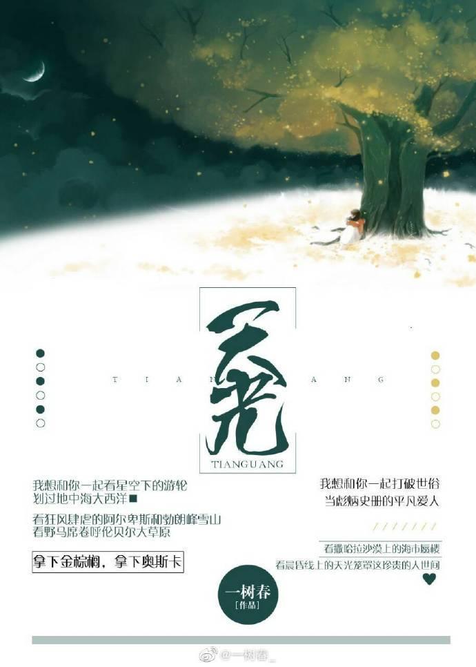 天光[娱乐圈]封面