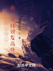 全职法师之我一开挂就发高烧封面