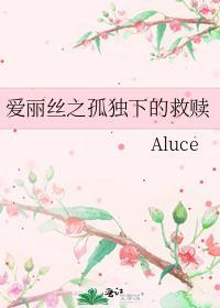 爱丽丝之孤独下的救赎封面