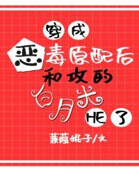 穿成恶毒原配后，和攻的白月光he了封面