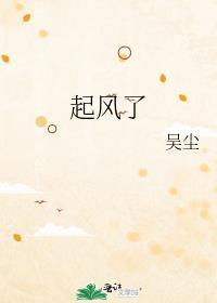 起风了封面