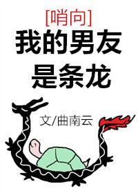 我的男友是条龙封面