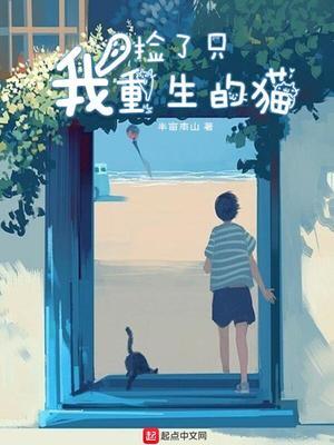 我捡了只重生的猫封面