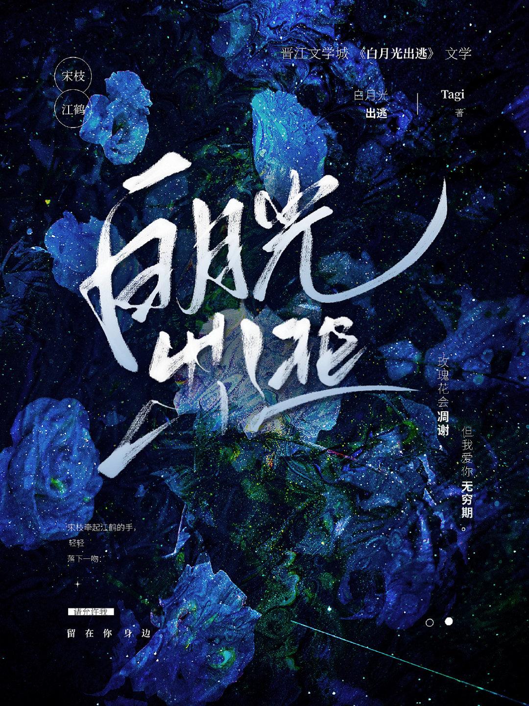 白月光出逃封面