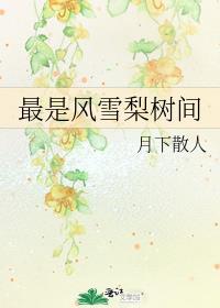 最是风雪梨树间封面