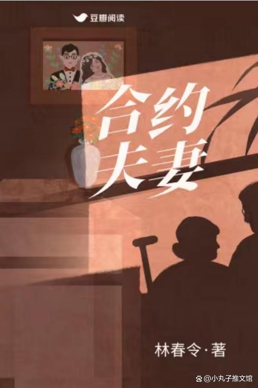 合约夫妻封面
