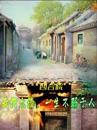 四合院：我何大清，一生不弱于人封面