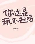 你这是玩不起呀？封面