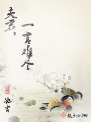 夫君，一言难尽封面