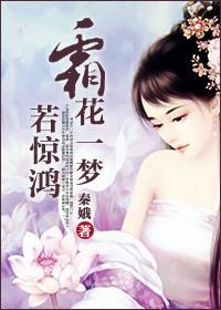 霜花一梦若惊鸿封面