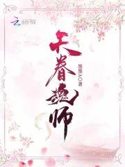天眷魂师封面