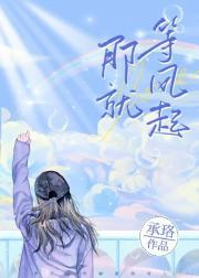 那就等风起封面