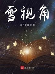 雪视角封面
