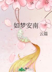 如梦安南封面