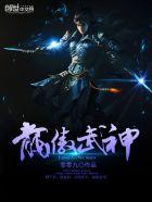 龙傲武神封面