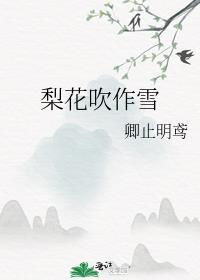 梨花吹作雪封面