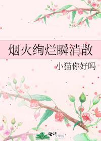 烟火绚烂瞬消散封面