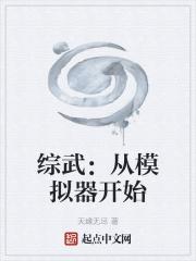 综武：从模拟器开始封面