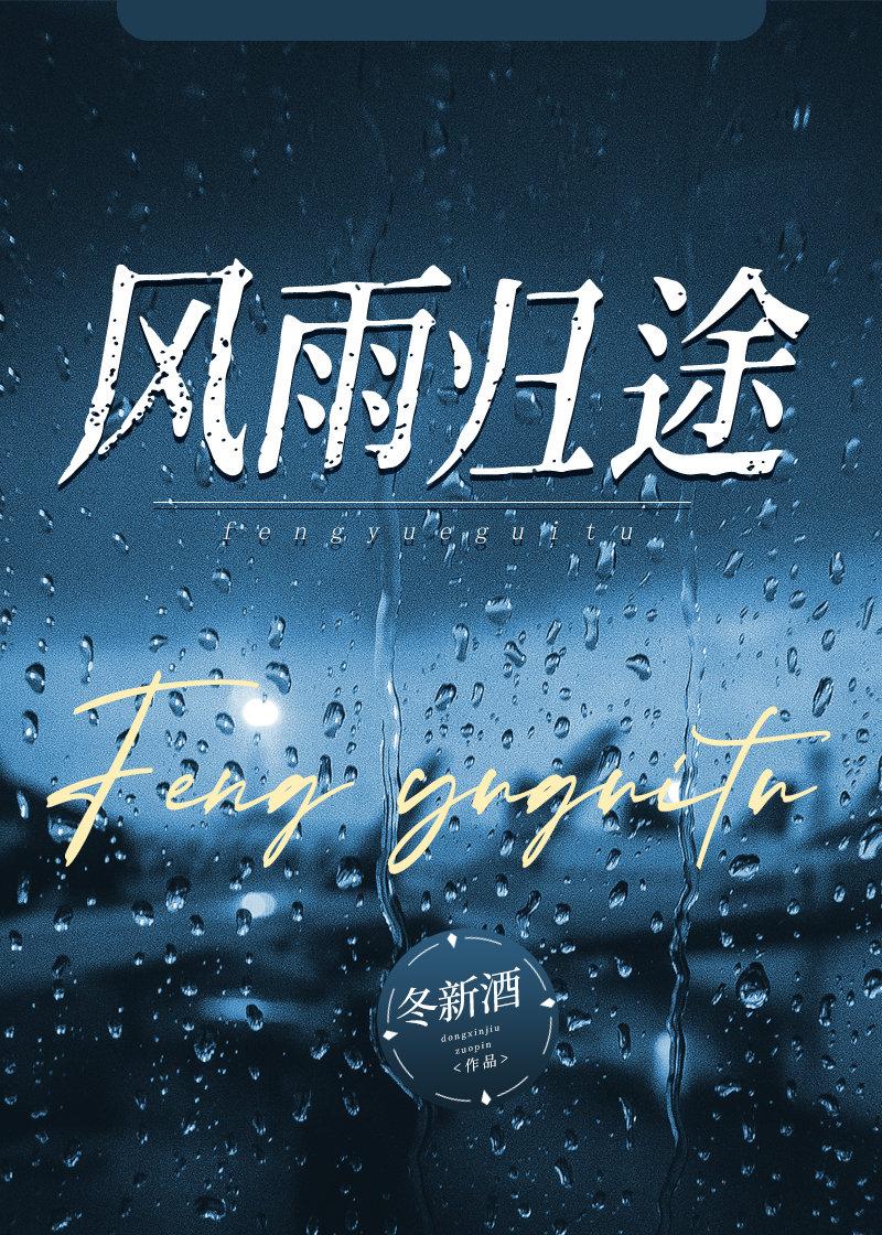 风雨归途封面