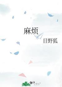 麻烦封面