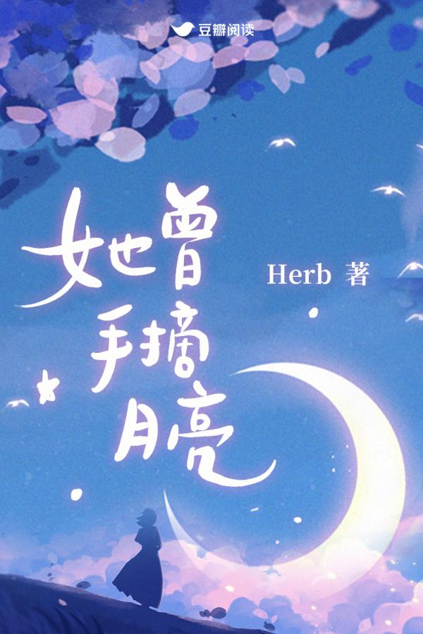 她曾手摘月亮封面
