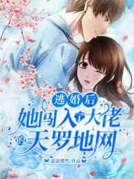 逃婚后，她闯入了大佬的天罗地网封面