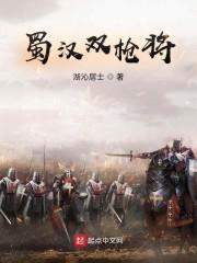 蜀汉双枪将封面