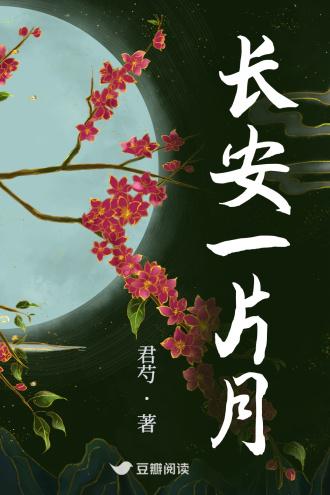 长安一片月封面