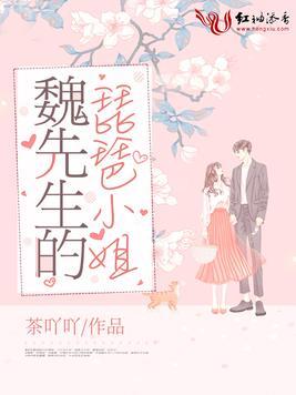 魏先生的琵琶小姐封面
