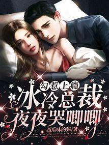 勾惹上瘾，冰冷总裁夜夜哭唧唧封面