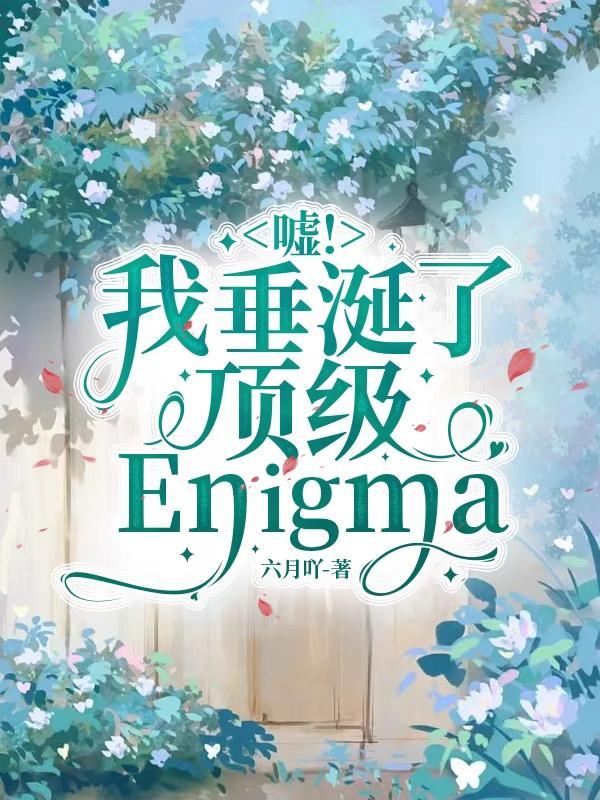 嘘！我垂涎了顶级Enigma"，"copyright":"番封面