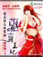 驱魔王妃封面