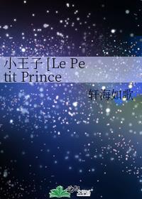 小王子 [Le Petit Prince]封面