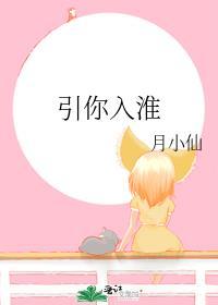 引你入淮封面