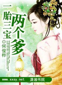 一胎三宝两个爹封面