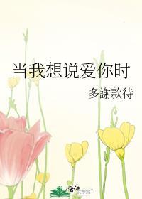 当我想说爱你时封面