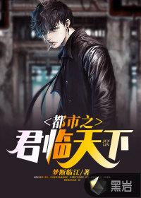 都市之君临天下封面