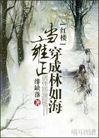 当雍正穿成林如海封面