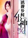 透视乡村小神医封面