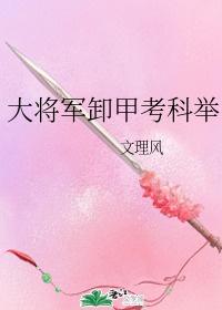 大将军卸甲考科举封面