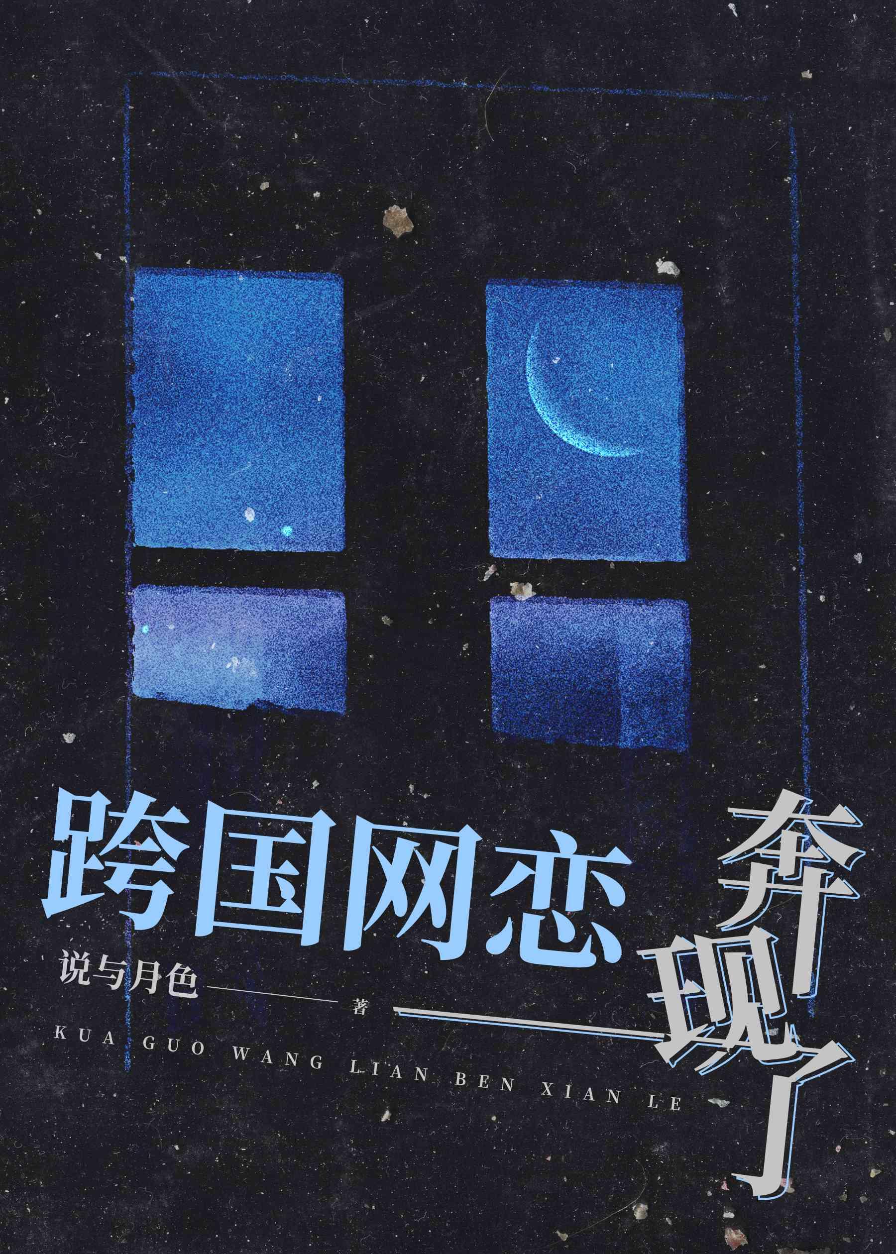 跨国网恋奔现了封面