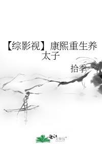 【综影视】康熙重生养太子封面