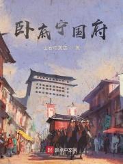 卧底宁国府封面