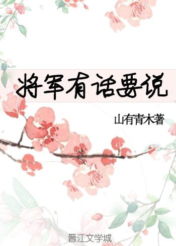 将军有话要说封面