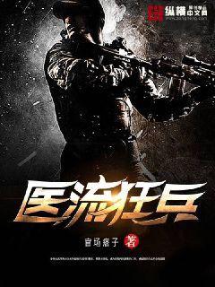 医流狂兵封面