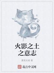 岩忍者日志封面