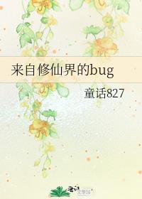 来自修仙界的bug封面